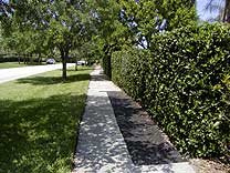 Finished asphalt repair to bike path