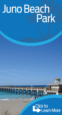 juno_beach_park_picture_web_link