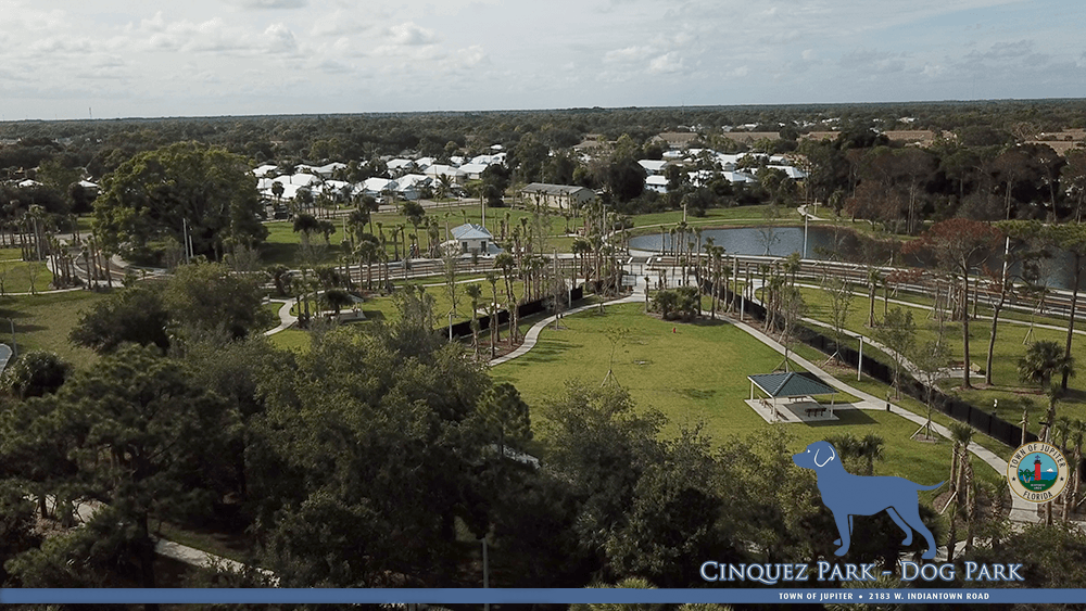 cinquezpark_picture
