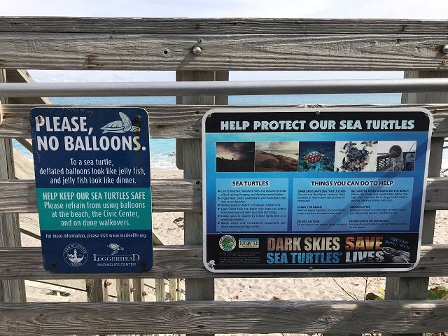 Balloon Sea Turtle Signs
