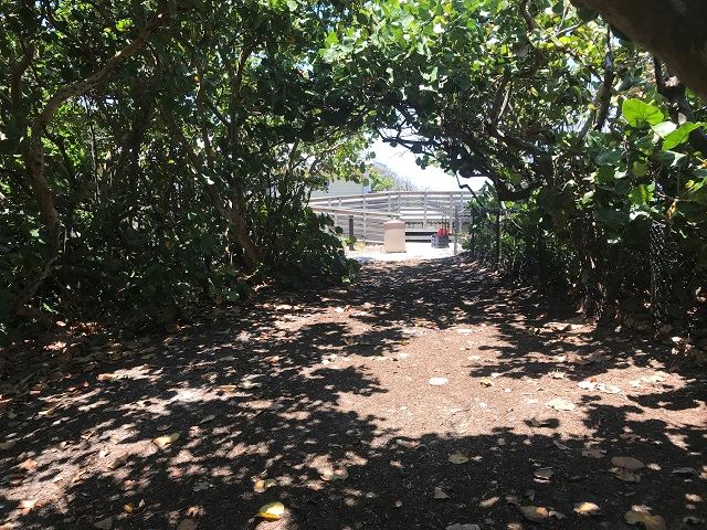 Open Space S of Civ Ctr