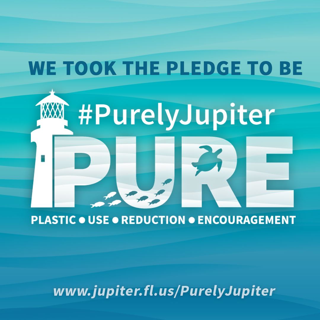 Facebook Picture Pledge