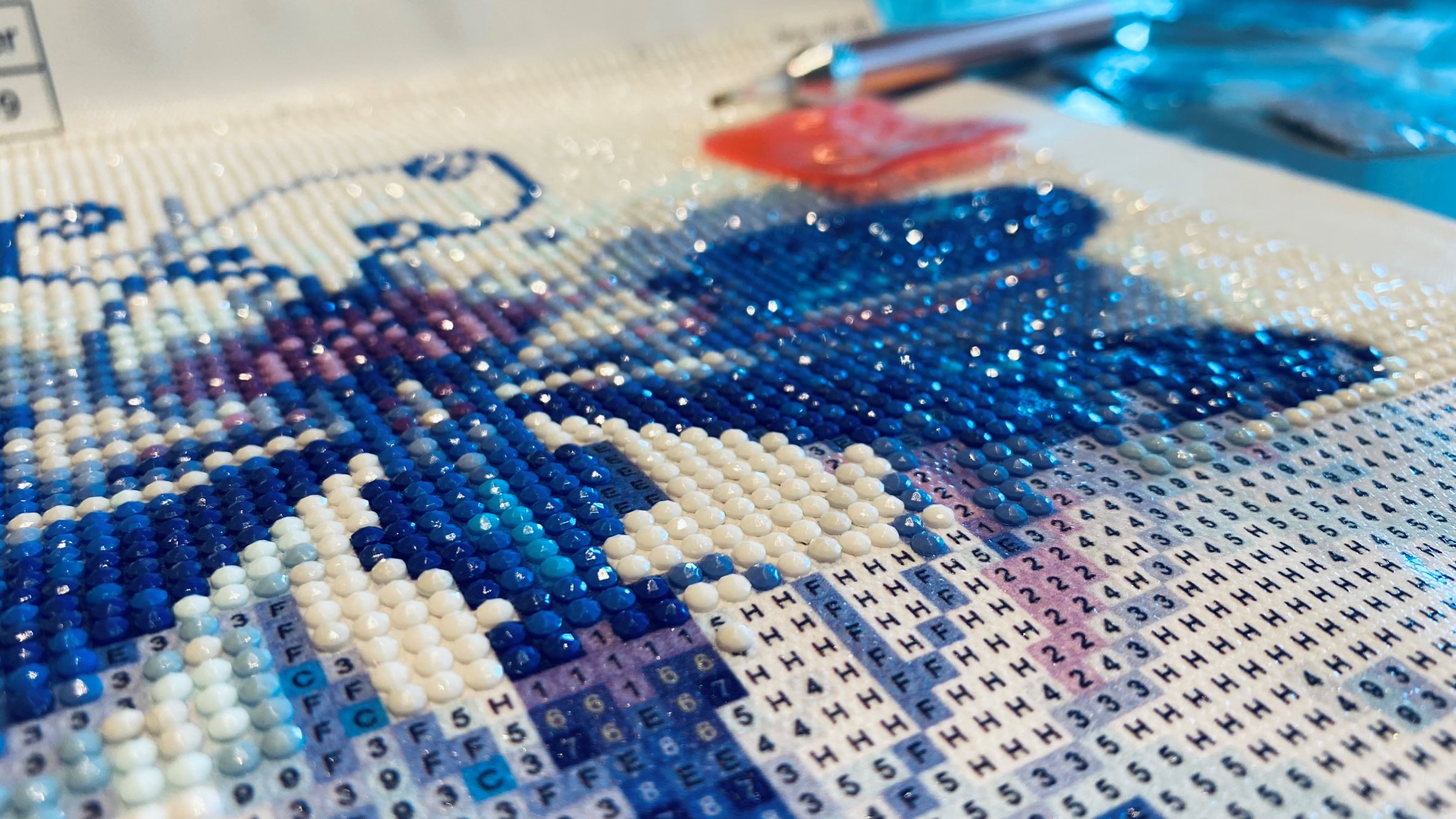 Picture of diamond painting dragonfly.