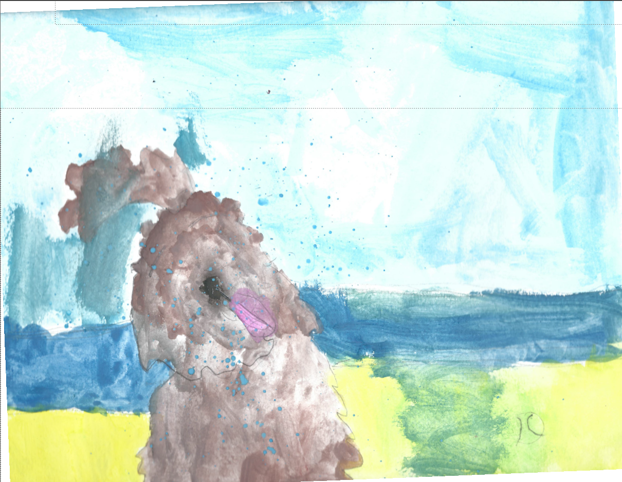 Jupiter Dog Beach Belleami Dickson