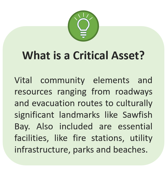 What is a critical Asset