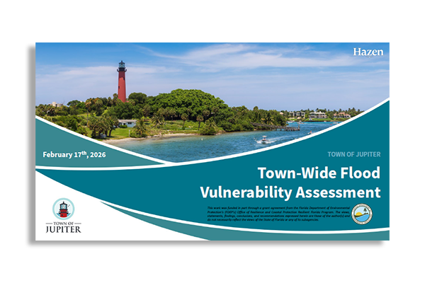 Vulnerability Study Public Presentation Cover
